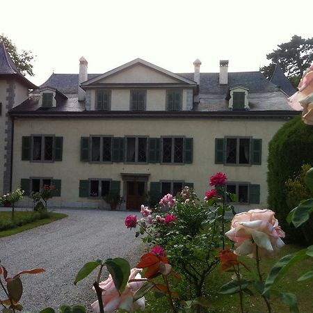 Chateau De Veigy Hotel Екстериор снимка