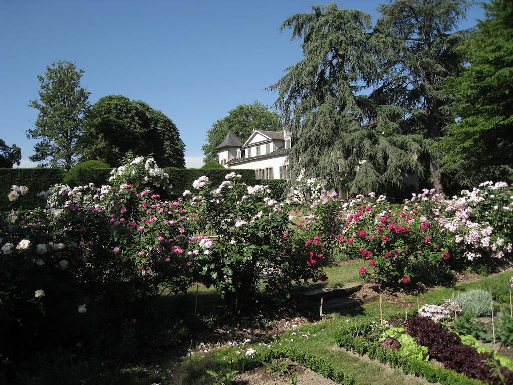 Chateau De Veigy Hotel Екстериор снимка