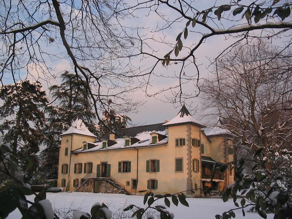 Chateau De Veigy Hotel Екстериор снимка