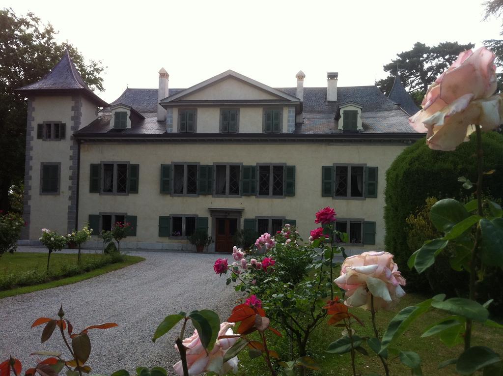Chateau De Veigy Hotel Екстериор снимка